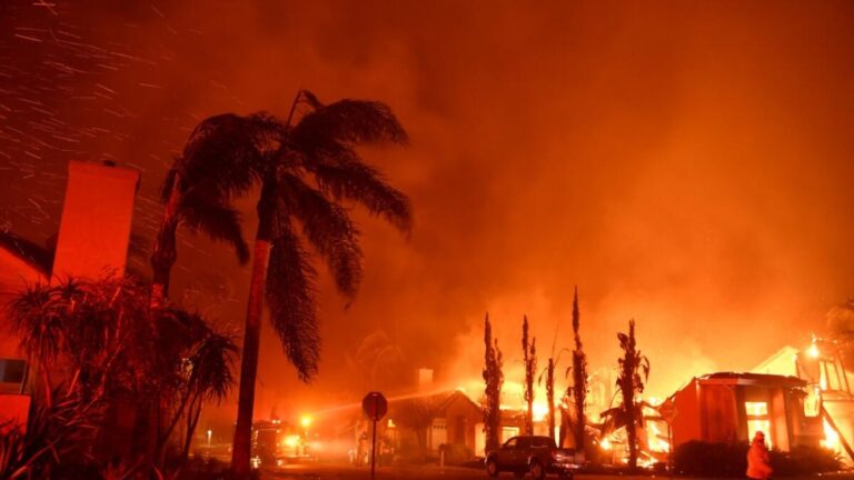 The Los Angeles Wildfires: Fact and Fiction in the Age of Lies